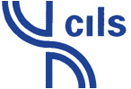 Cils Unistrasi